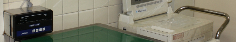 138.jpg